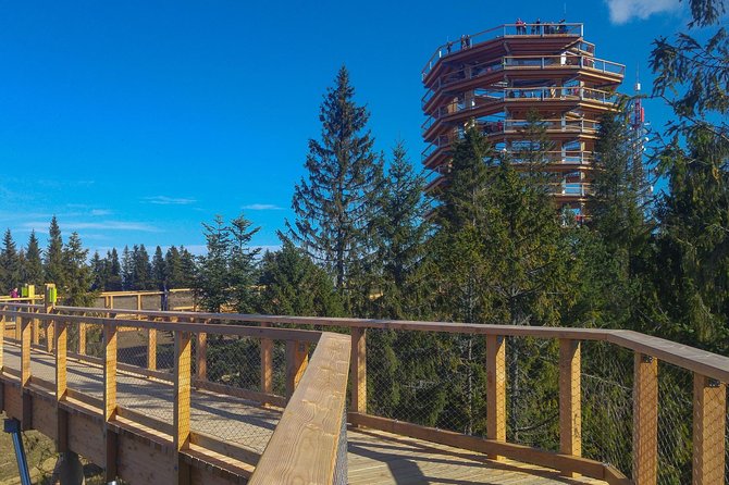 Slovakia Treetop Walk, Zakopane & Thermal SPA From Krakow - Booking and Cancellation Policy