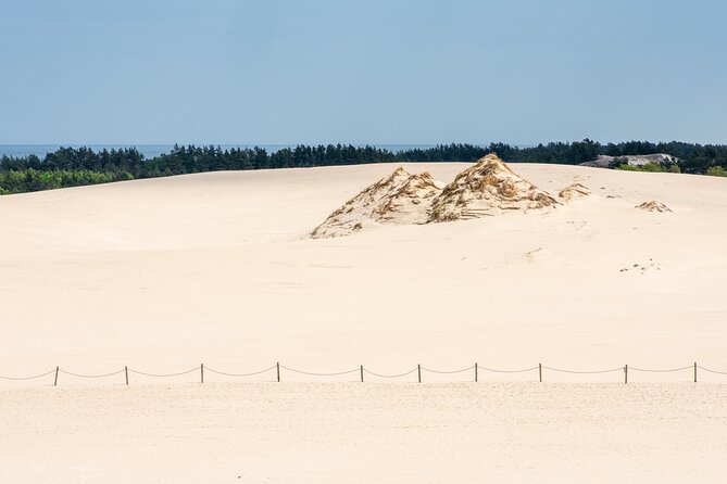 Slowinski National Park Private Tour - Traveler Experience
