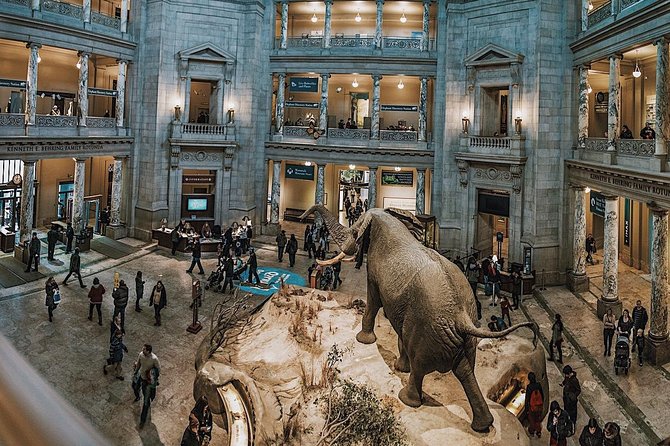 Smithsonian Natural History American History Semi-Private Tour - Tour Overview