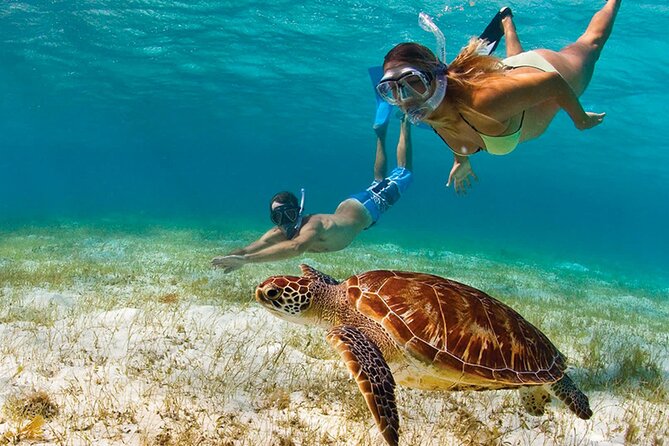 Snorkeling Activity With Boat Ride in Montego Bay - Good To Know
