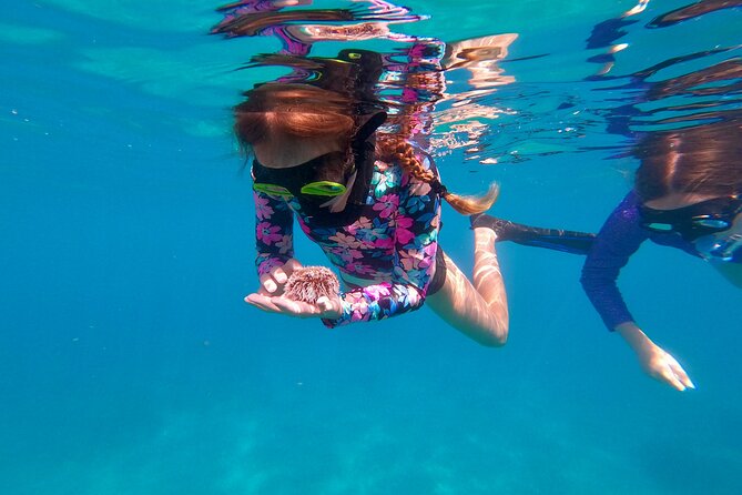 Snorkeling Aguadilla for Families With Children - Private Transportation to Snorkeling Spot