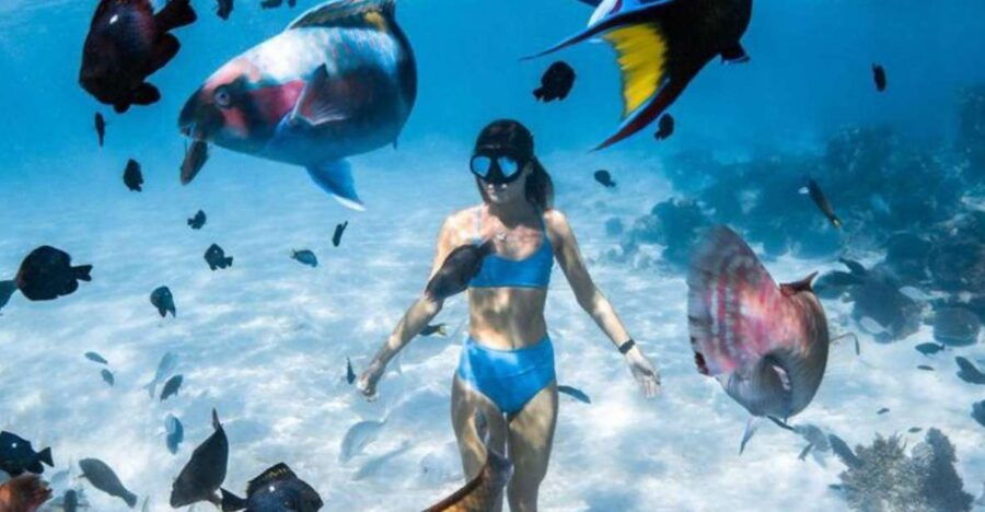 Snorkeling at Blue Lagoon and Waterfall – All Inclusive