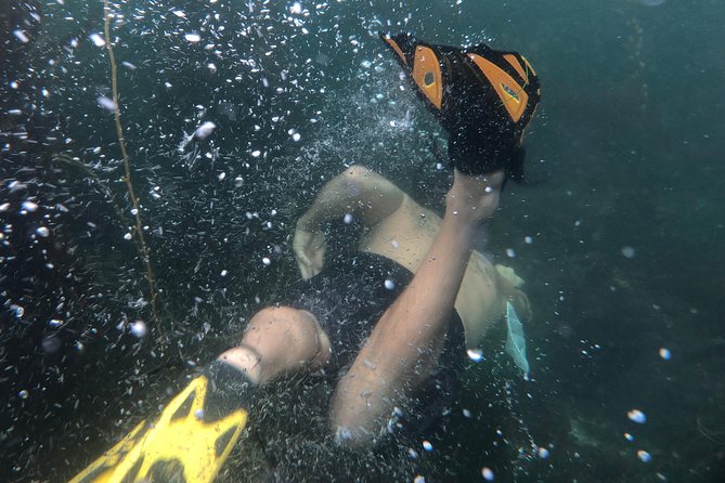 Snorkeling Los Angeles