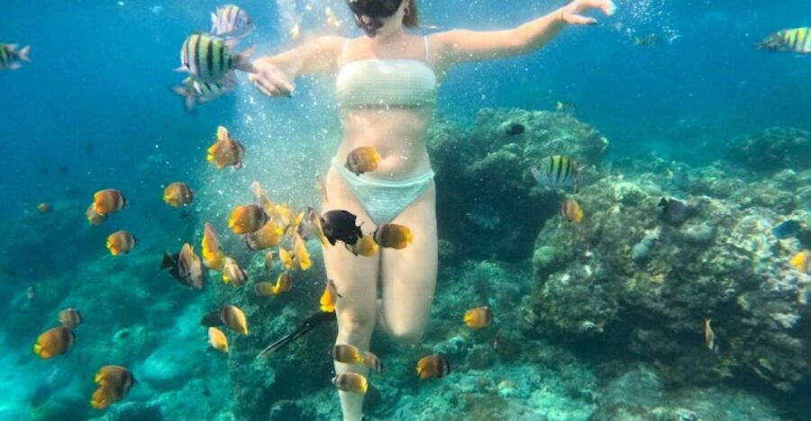 Snorkeling Nusapenida - Best Part Swim With the Mantarays - Snorkeling at Banjar Nyuh Harbour