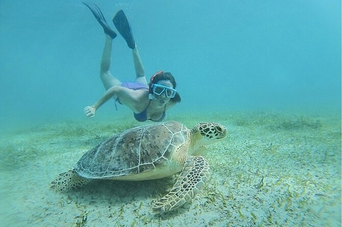 Snorkeling Tour to Vieques Island - Good To Know