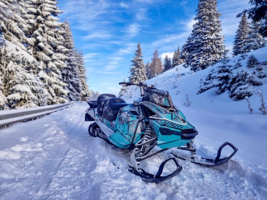 Snowmobile Tour In Bucegi Mountains - Experience Highlights