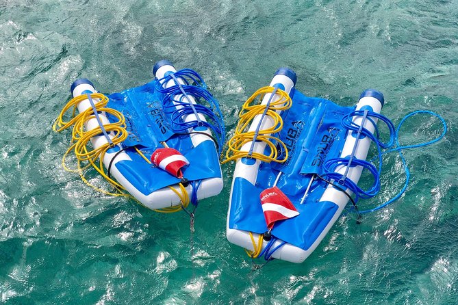 Snuba Adventure at Coral World Ocean Park - Meeting and Pickup Details for the Snuba Adventure