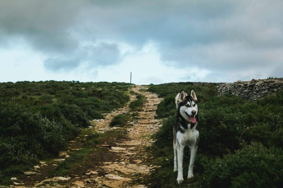 Somewhere Breath Taking - Marquês De Pombal Self-Guided Tour - Good To Know