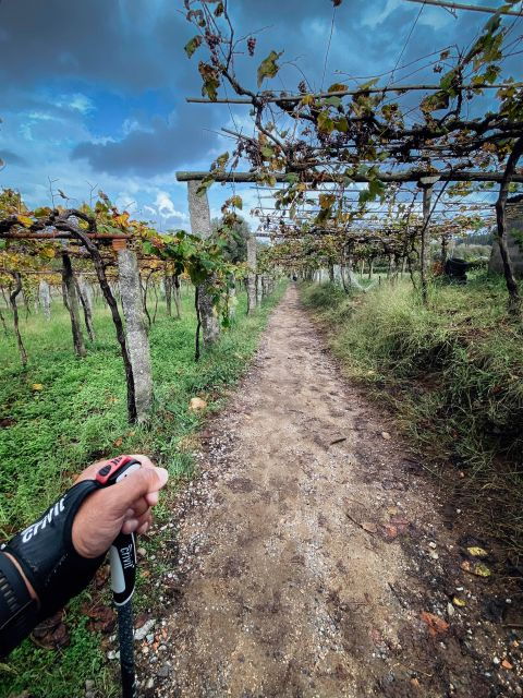 2 Best Self-Guided Tours In Sao Martinho Do Porto