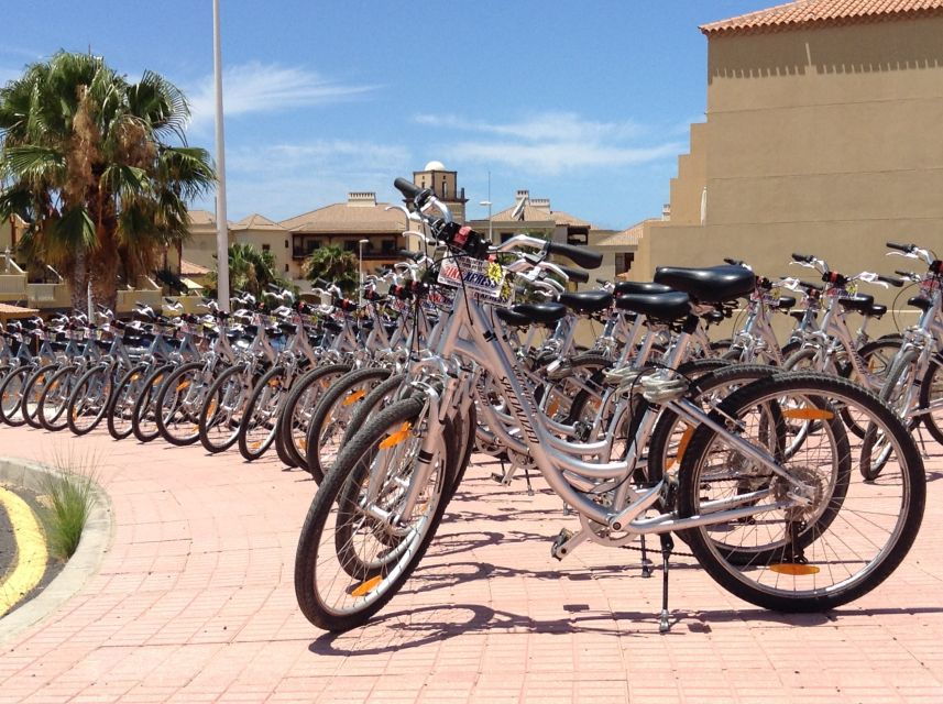 South Tenerife: Bike Rental With Hotel Delivery - Good To Know