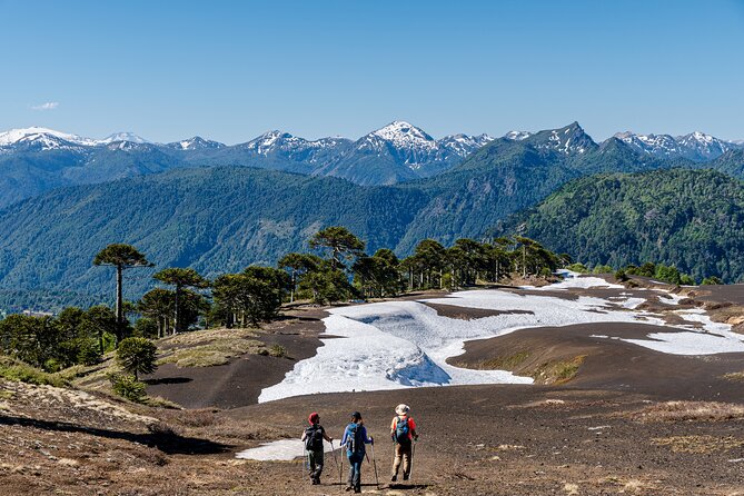 Spectacular Sollipulli Volcano Trek in Chile - Good To Know