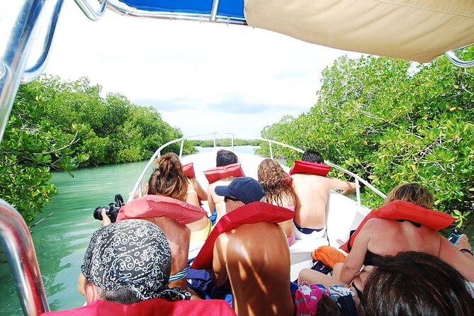 Speedboat Tour to Toro Beach and Turtle Sanctuary – Small Group