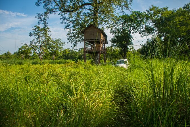 Spend a Night in a Tree House in Bardiya - What to Expect