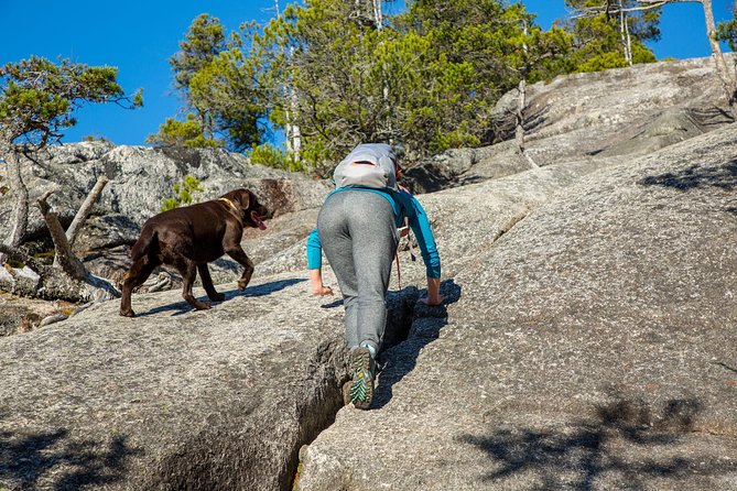 Stawamus Chief Hike & Local Brewery Tasting - Overview of the Stawamus Chief Hike