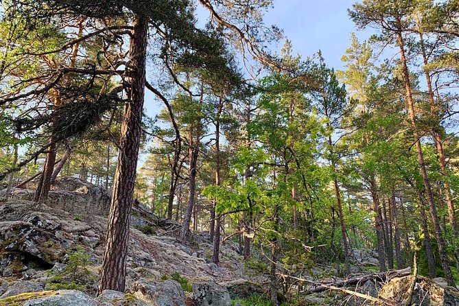 Stockholm Eco-Friendly Sunset Hike And Wildlife Spotting - Reviews