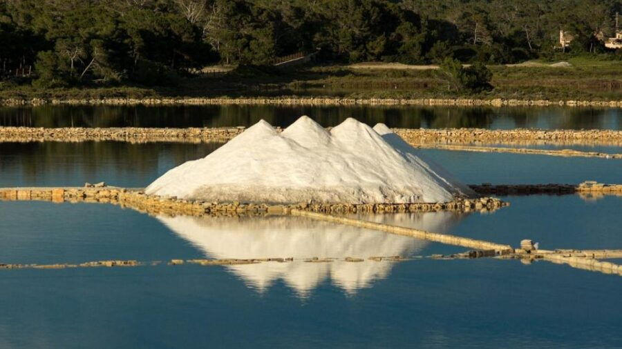 Ston: Salt and Stone Private Walking Tour