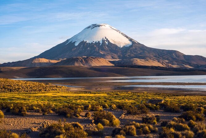 Stunning Arica Tour: Lauca National Park Adventure