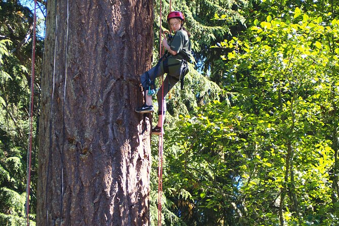 Sunset Canopy Climb on Lopez Island - Directions