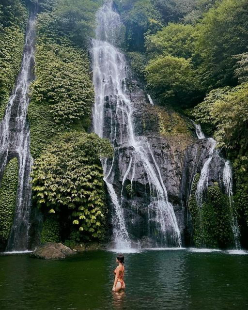 Swim With Dolphins, Ulundanu Bratan & Banyumala Waterfall