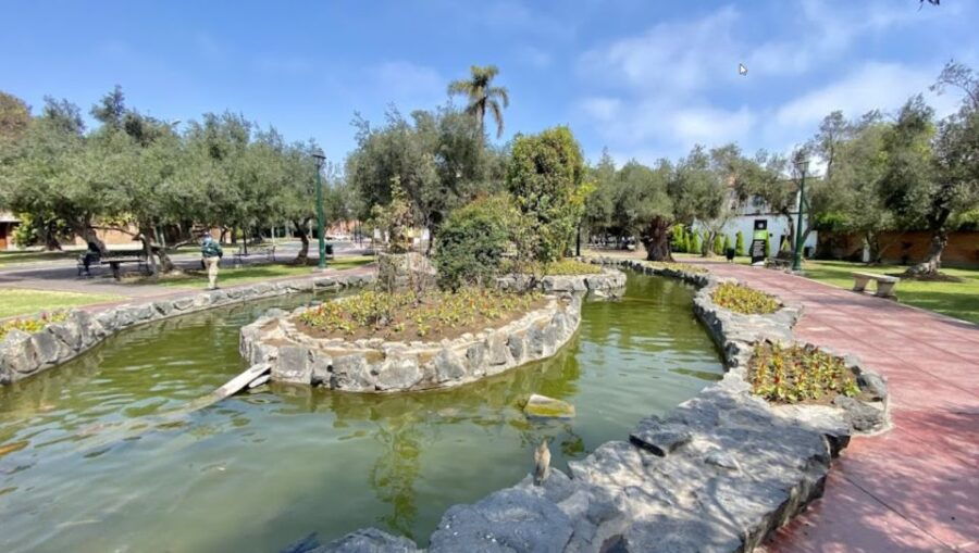 Take an Hour Stroll Around the Hidden Gems of El Olivar Park - Good To Know