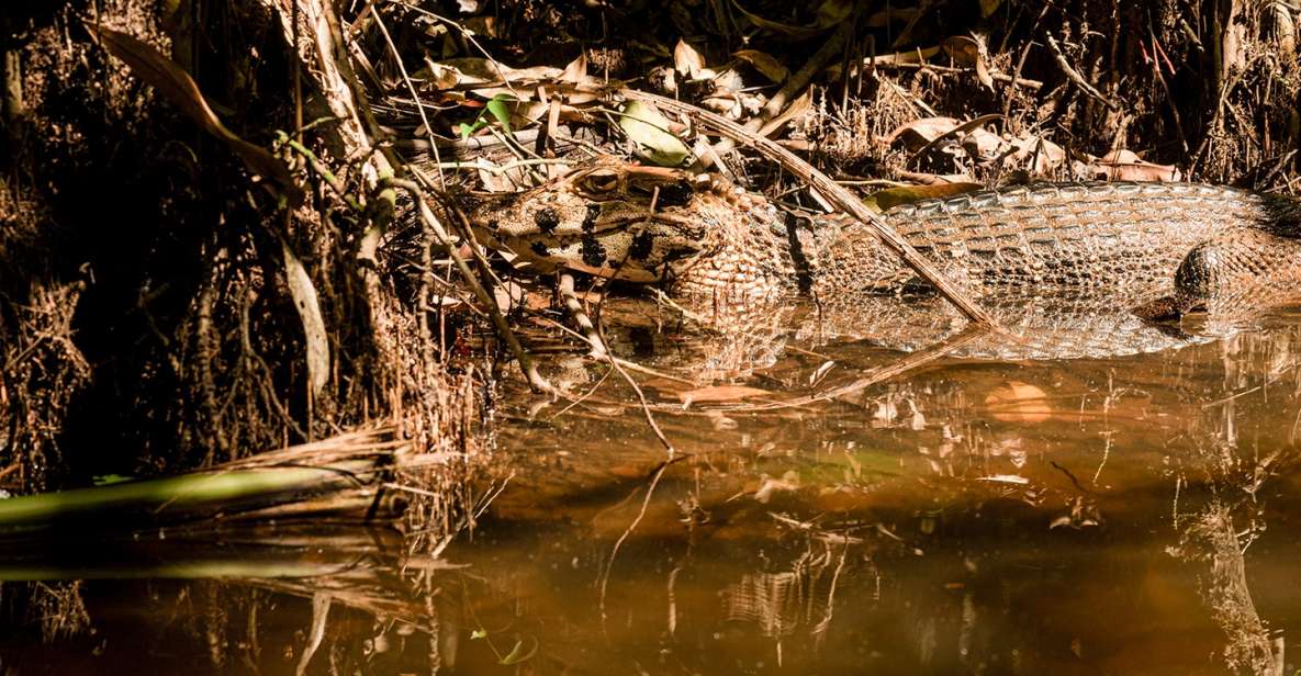 Tambopata Tour 4 Days