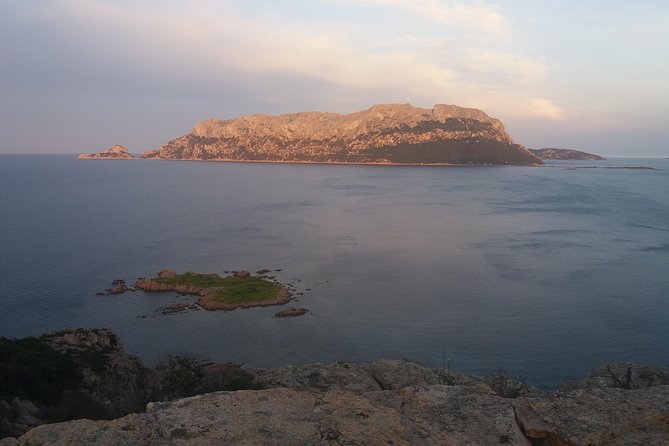 Tasting & Hiking Panoramic Experience