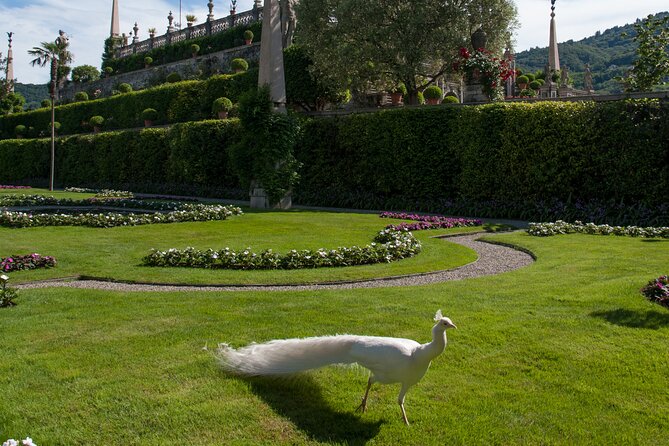 Taxiboat - Private Transfer to Isola Bella From Stresa