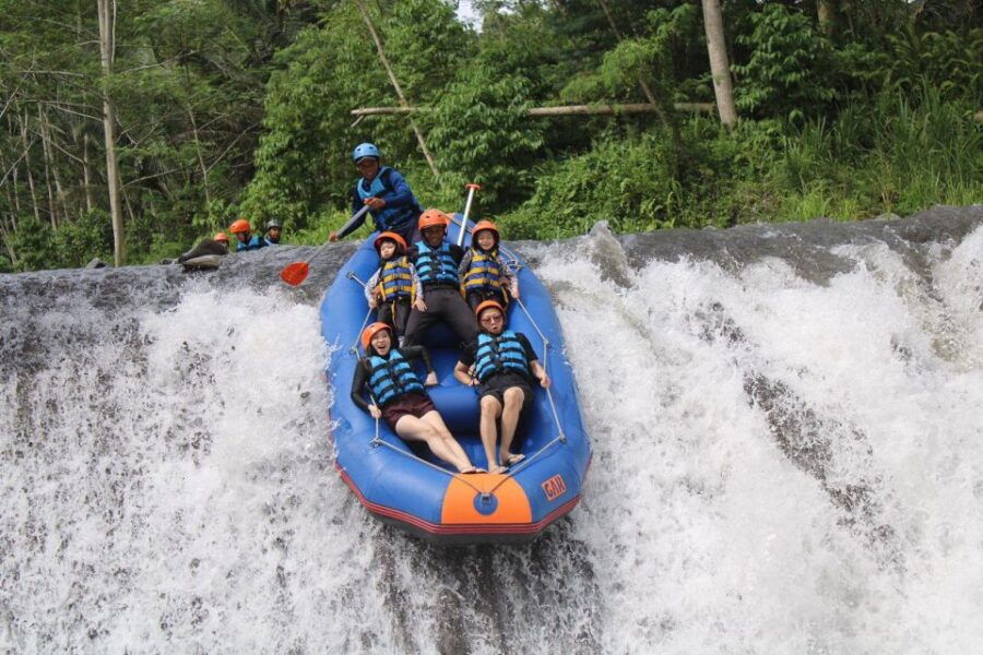 Telaga Waja Bali White Water Rafting Exclusive With Lunch - Activity Details