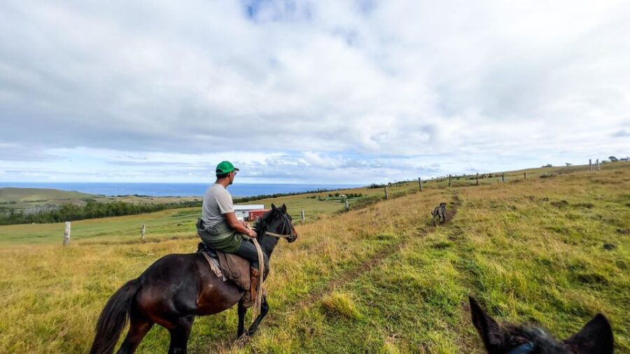 Terevaka Horse Excursion: the Highest Point and 360 View.