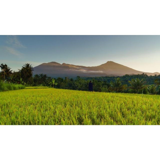 Tetebatu Panorama Walking Tour
