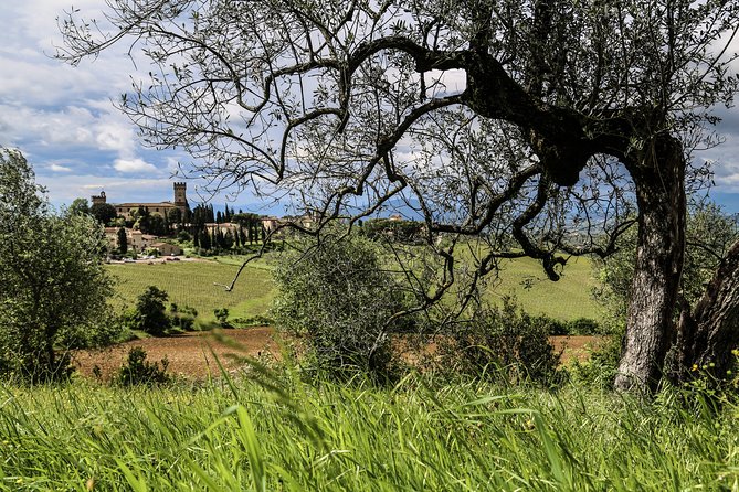 The Best of Chianti Classico E-Bike Tour - Tour Highlights
