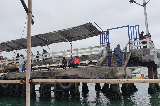 The Fisherman’s Cove Adventure