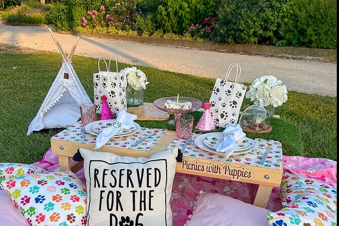 Themed Luxury Picnics in Charleston, South Carolina - Good To Know