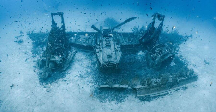 Thrilling Dive Tour Malta. Airplanes and Coral Gardens Dive - Good To Know