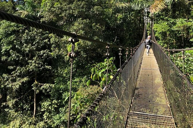 Thrilling Nature Adventure: Místico Hanging Bridges Walk