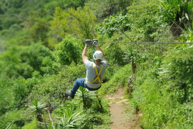 Thrilling Zip Line Adventure – Book Now
