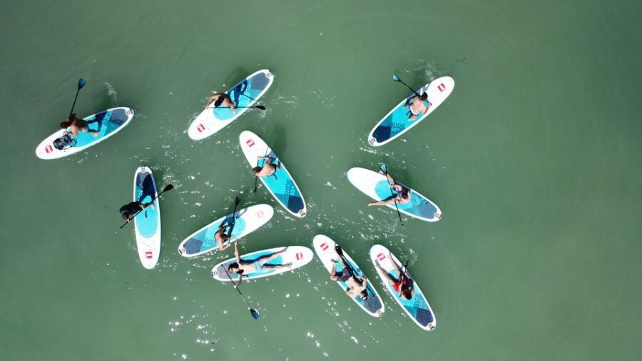 Tihany: Stand Up Paddleboarding Course at Lake Balaton