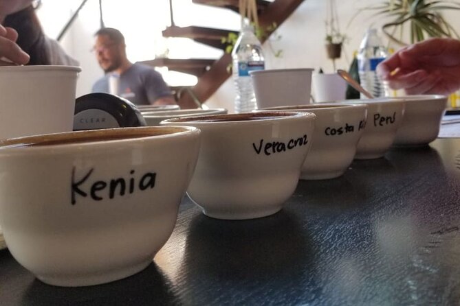 Tijuana Mexico Coffee Shop Hop From San Diego