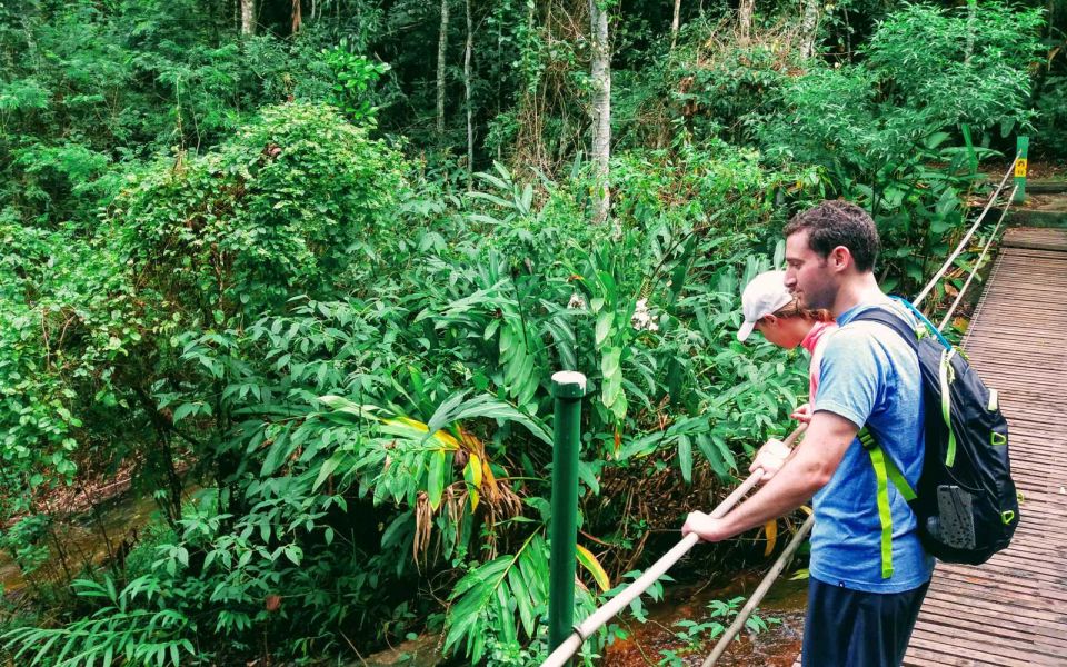 Tijuca Forest: Adventure & History Half-Day Hike - Activity Details