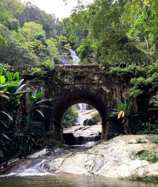 Tijuca Forests Hike: Caves, Waterfalls and Great Views - Highlights of the Hike