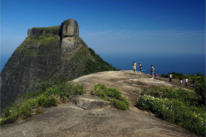 Tijuca National Park Adventure: Uncover Rio's Gem - Tijuca National Park: A Natural Wonder