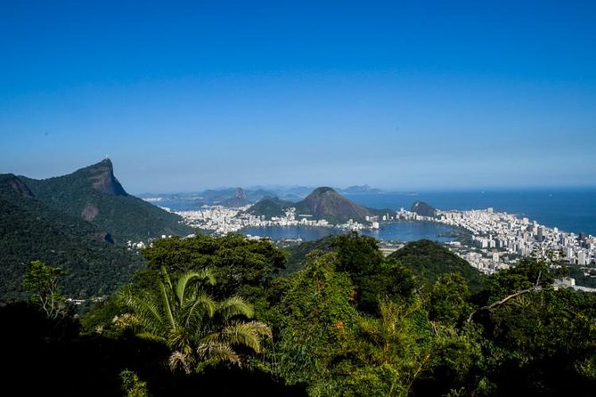 Tijuca National Park Private Half-Day Guided Photography Tour (Mar ) - Tour Highlights