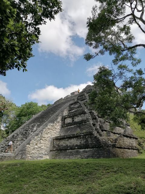 Tikal From Flores: With Transportation Lunch and Local Guide