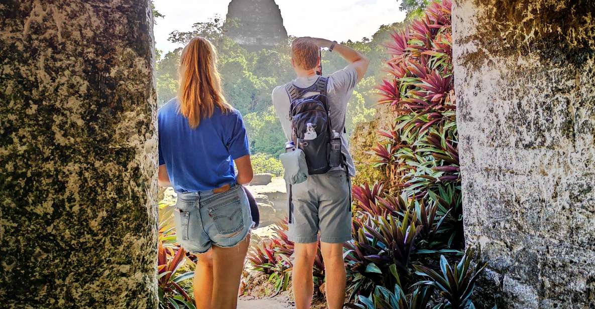 Tikal Sunrise, Archeological Focus and Wildlife Spotting