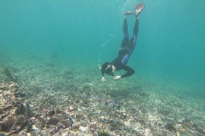 Tintoreras Tour: Dive Into Galapagos Wonders