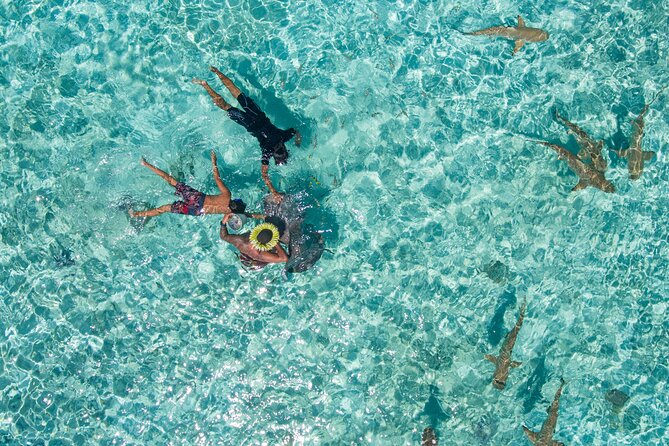 Toa Boat Bora Bora Private Lagoon Tour on Majestic Pontoon Boat - Booking Confirmation and Accessibility