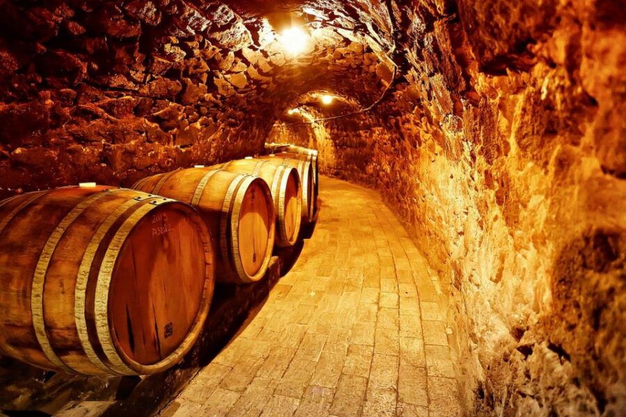 Tokaj: Vineyard Tour & Tasting - Good To Know