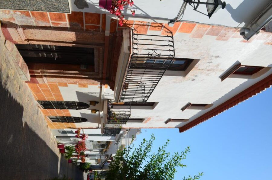 Tour Around Estepona City Center - Good To Know