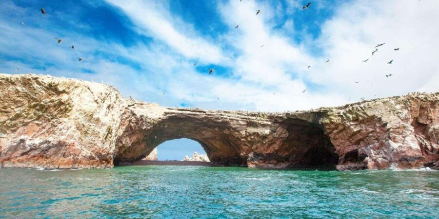Tour: Ballestas Islands and the Paracas National Reserve