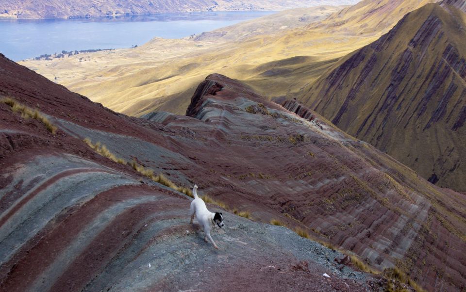Tour Cusco: Pallay Poncho of Apu T'acllo - Booking Details
